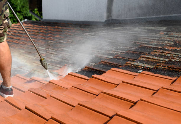 Best Residential Pressure Washing Services  in Essex, IL