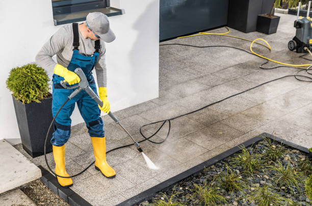Best Commercial Building Pressure Washing  in Essex, IL
