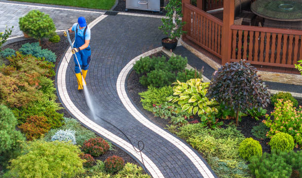Best Roof Pressure Washing  in Essex, IL