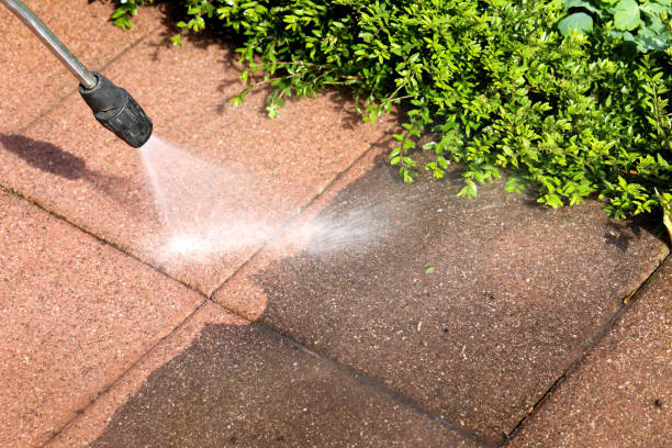 Best Best Pressure Washing Companies  in Essex, IL